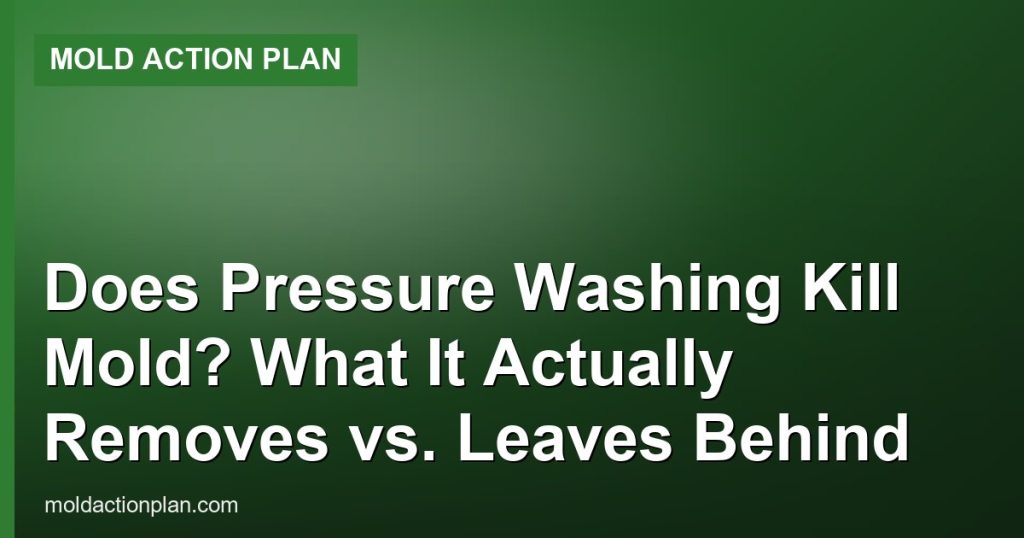 Does Pressure Washing Kill Mold? What It Actually Removes vs. Leaves Behind - Mold Action Plan